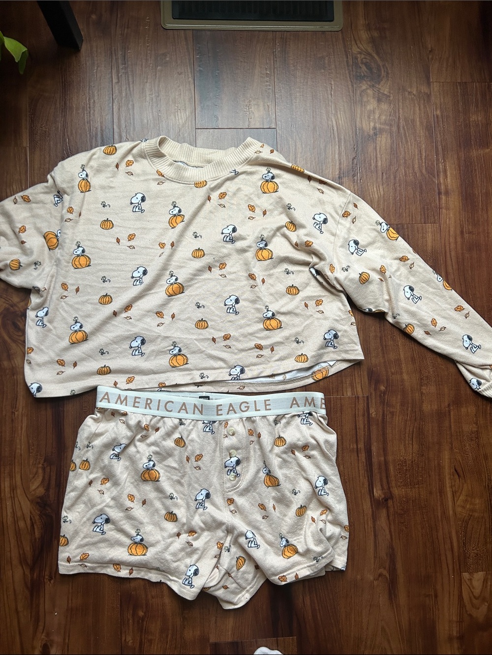 American Eagle Snoopy Fall Pajamas Large